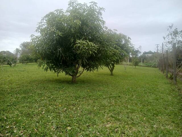 #6 - Chácara para Venda em Gravataí - RS - 3