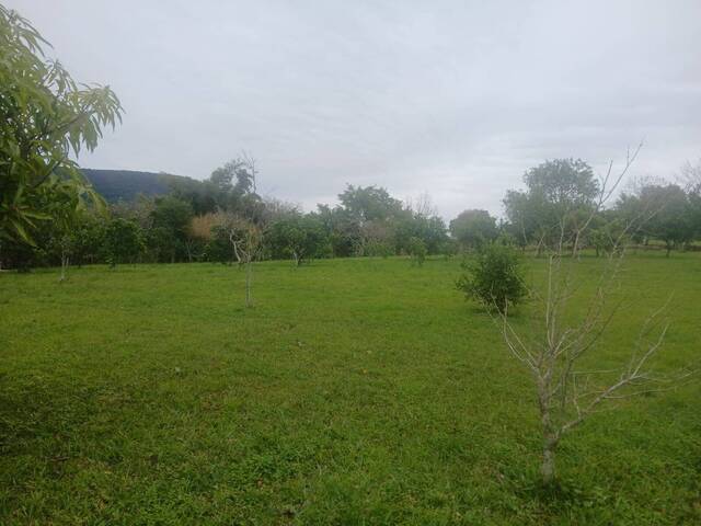 Chácara para Venda em Gravataí - 4