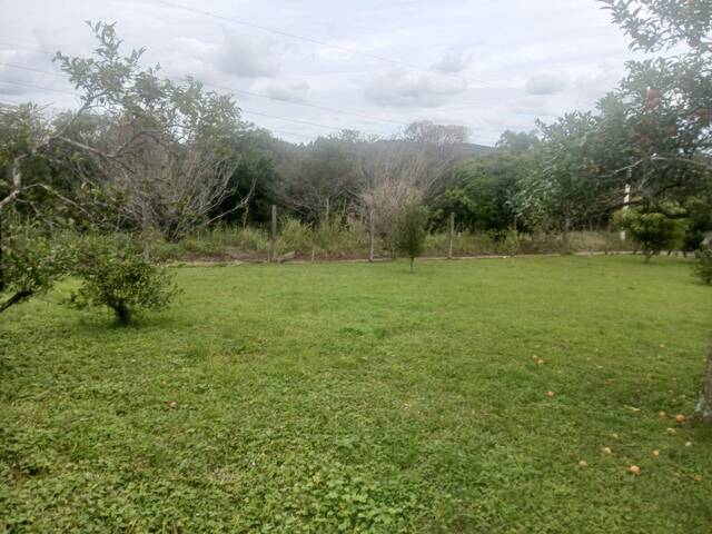 Chácara para Venda em Gravataí - 5